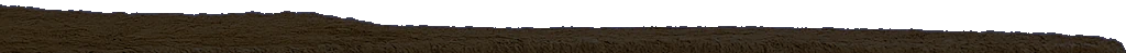 Nighttime Desert Vista