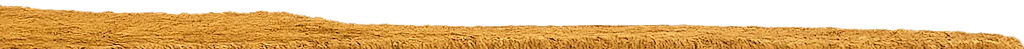 Daytime desert 